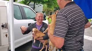 Hurricane Ian shelter animal transfers from Labelle