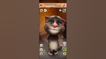 Talking Tom 🍒🥞🍑🥨🥞🍉🍑🥨🍉🥨🍉🍉