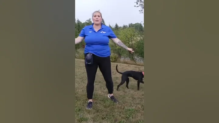You're Using The WRONG Treats In Your Dog Training