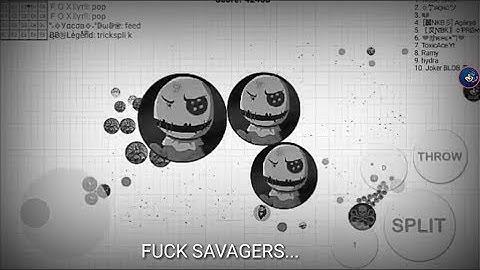 BLOB EPIC AUTO PRESPLIT // BRUTAL DOUBLE REVERS // 2X CANON 16X