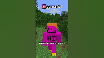 NEVER make a stonecutter like this... (sometimes)