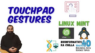 Mouse / Touchpad Gestures in Linux Mint | Improve Your Workflow