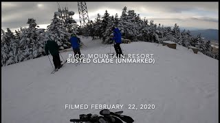 Pico: Busted Glade (Sidecountry)