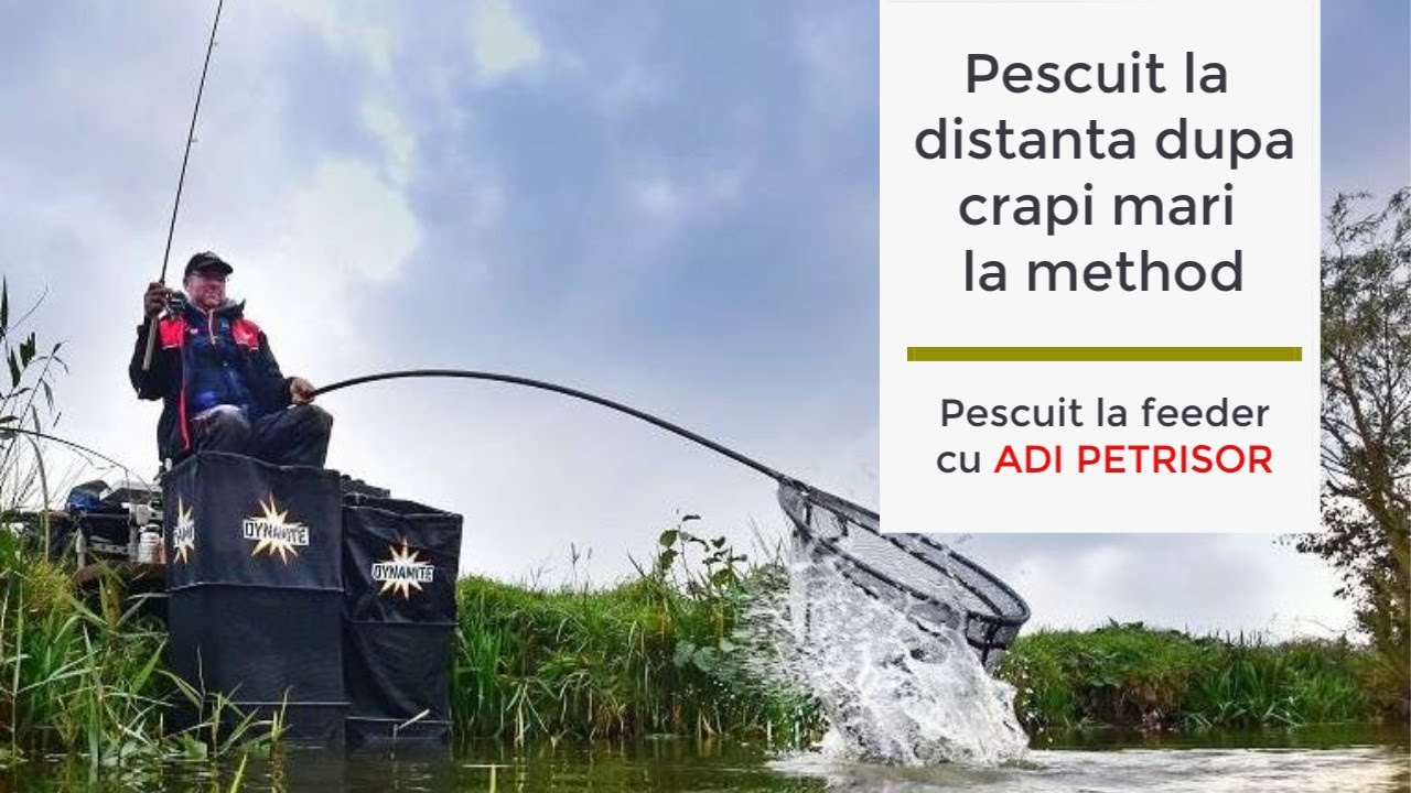 Pescuit la distanta dupa crapi mari la method feeder