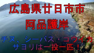 海中動画 第5巻 広島県廿日市市阿品護岸 の巻 Youtube