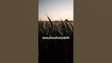 الآيتان 9 و 10 من سورة فاطر #quran