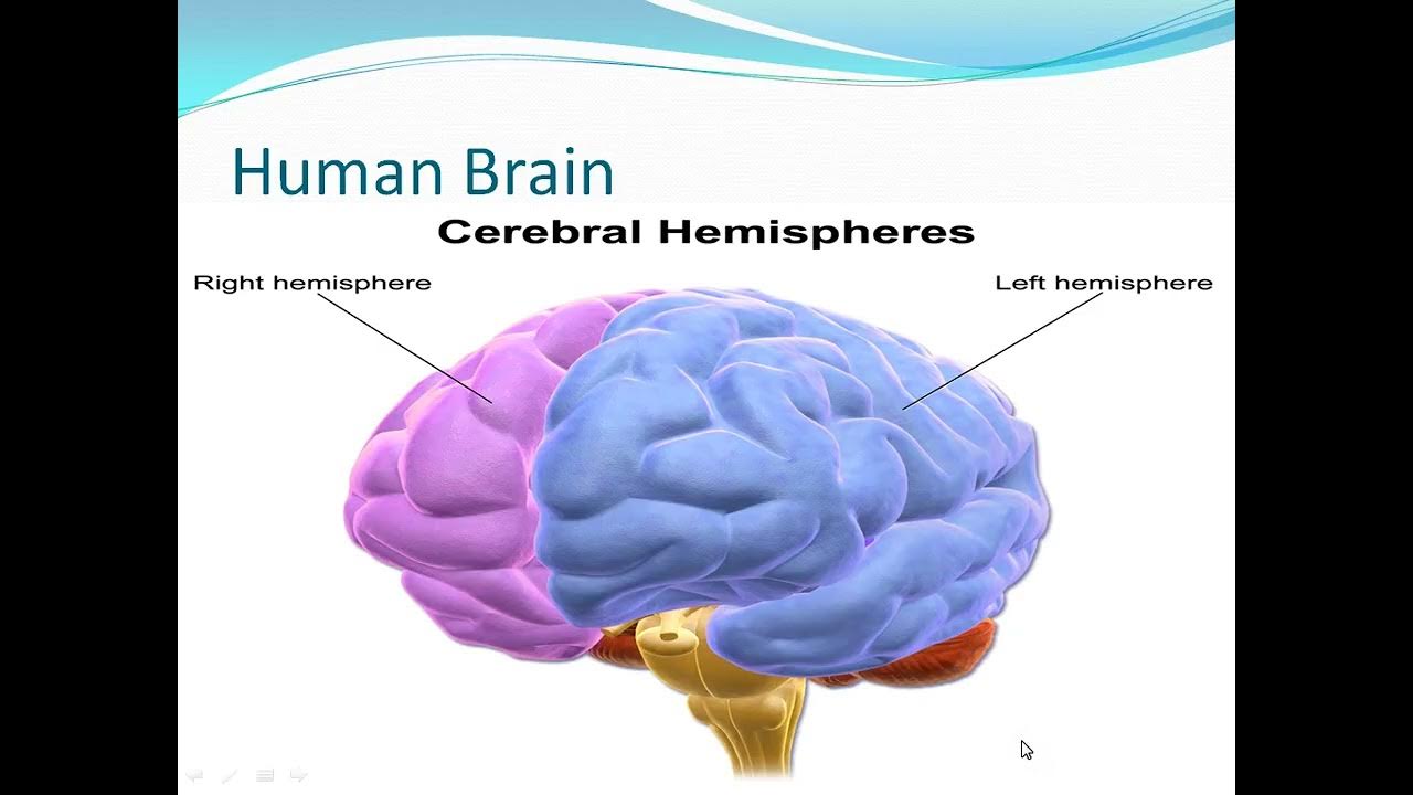 James Asher's Total Physical Response(TPR) in Second Language