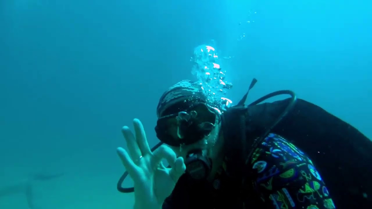 Дайвинг с AQUA - VISION 2025 