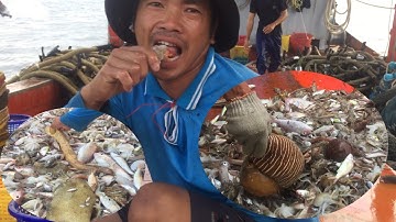 Ăn “ Tôm Tích Sống “ vừa đánh bắt được - Cuộc Sống Trên Biển thật thú vị | Anh Ngư Phủ
