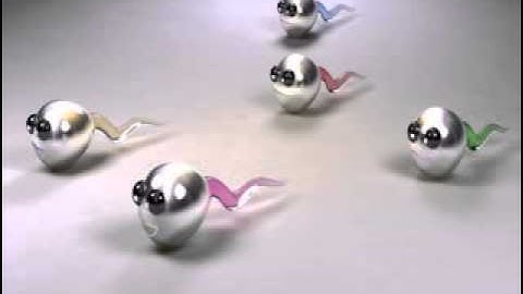 Active Boot Disk Suite