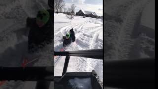 Boys W Cairn Terrier Sledding Rzr800S