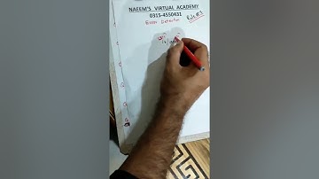 Error Detection Rule 01 | Sir Naeemullah mahar | English