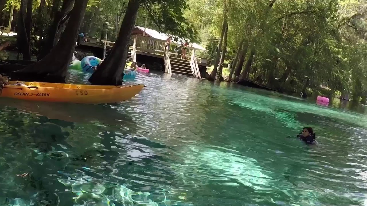 Ginnie springs,Fl summer 2017 YouTube