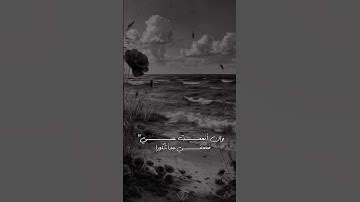 #القرآن_الكريم #المصحف #راحة_نفسية #تلاوة_خاشعة #دويتو #اكسبلور #تيك_توك #حالات_واتس #duet #لايك