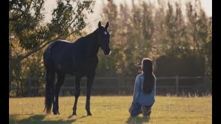 #黑神駒##感人#女孩救了一只野馬，把它養大還和它睡覺，才知道它不是一只普通的馬