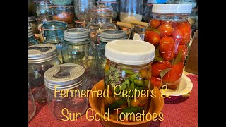 Fermented Peppers and Sun Gold Tomatoes