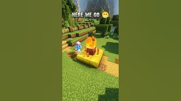 Bro try to spawn Herobrine 🥶#minecraft #shorts