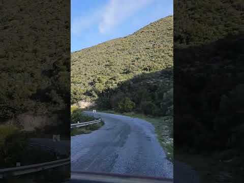 A Road Trip