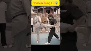 Kung Fu Front Kick Secret 💪😱| #kungfu #shaolin #mma #challenge