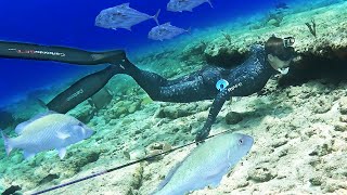 Primitive Spearfishing TONS of Fish! {Polespear ONLY!} Bahamas Mission
