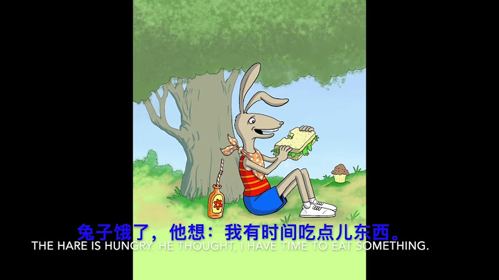 the hare and the tortoise in Chinese # 龟兔赛跑中文故事