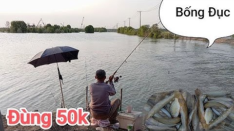 Câu cá Bống Đục ở Đùng 50k Mỹ Xuân BRVT @Đam mê câu cá