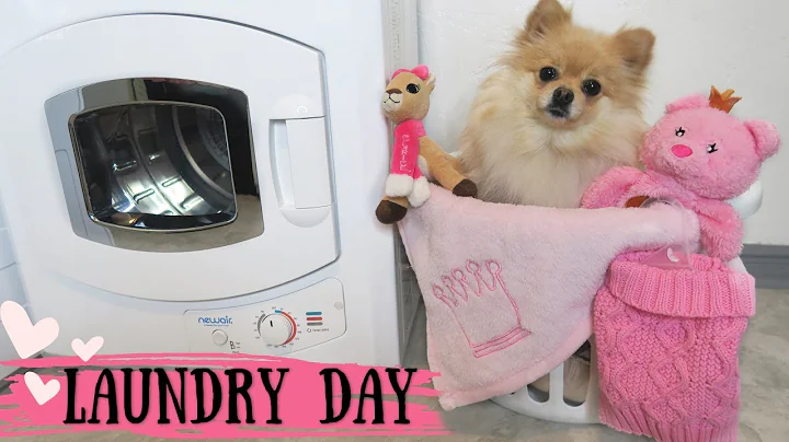 Laundry Day With Daisy My Pomeranian IMiniDryer26W...