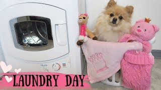 Hi, my angels!♥ let's do daisy's laundry! purchase the newair
apartment size mini dryer | minidryer26w :
https://www.newair.com/products/apartment-size-dryer...