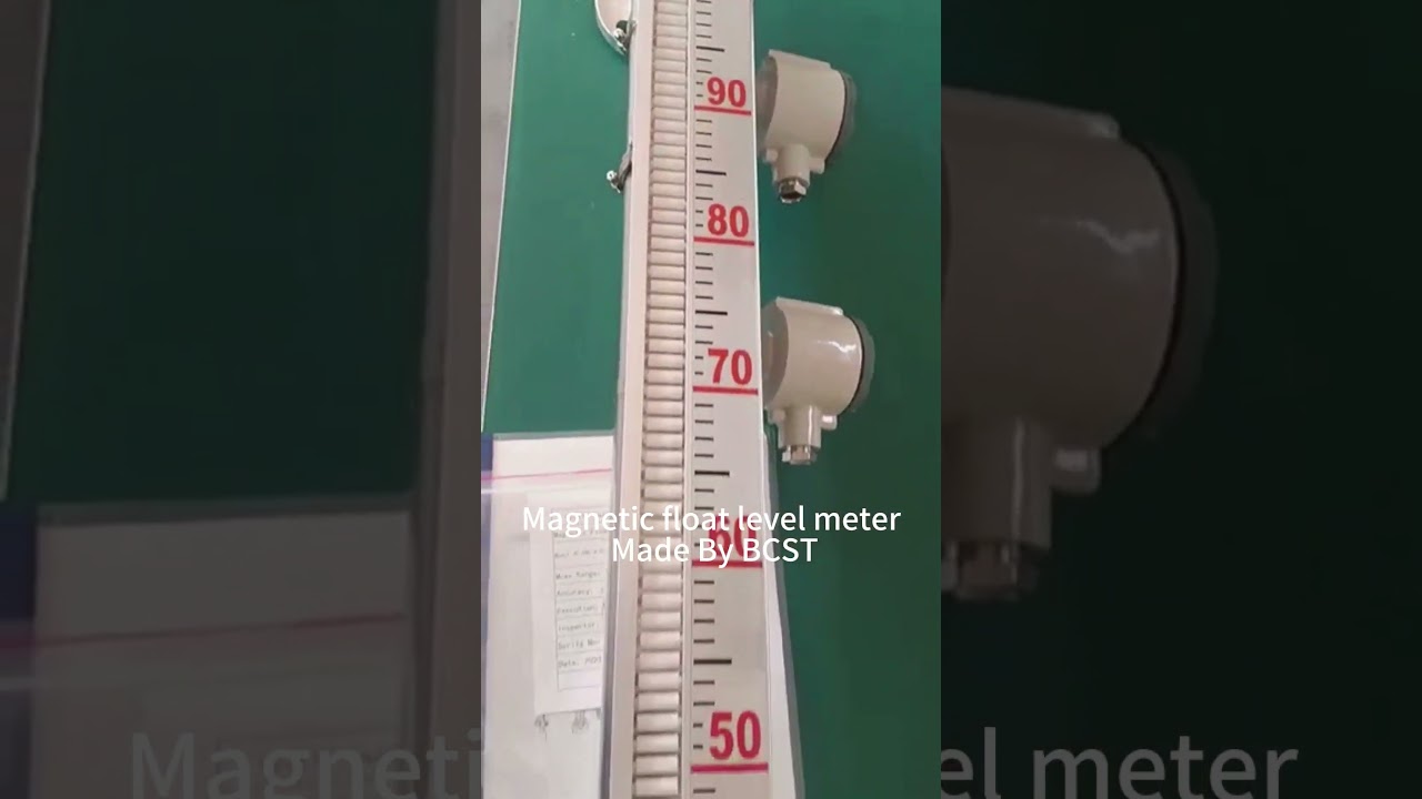 BCST Magnetic float level meter