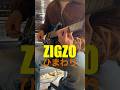 ZIGZO / ひまわり(L'Arc~en~Ciel、MALICE MIZER、BY-SEXUAL)
