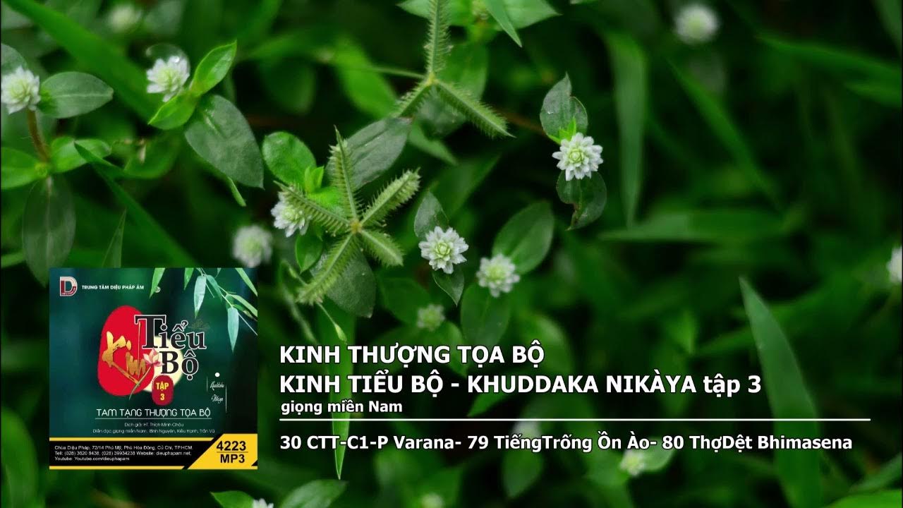 Tập 3 – 30 CTT–C1–P Varana– 79 TiếngTrống Ồn Ào– 80 ThợDệt Bhimasena giọng miền Nam 