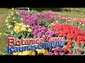 Vytauto Didžiojo Universiteto Botanikos sodas