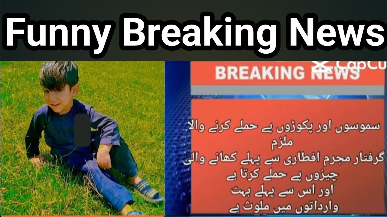 Funny Breaking News clips || Funny clips ||Funny video - YouTube