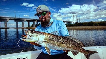 THE MIRROLIP! NEW Crankbait~