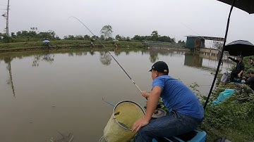 Câu cá diếc tại trạm bơm Lễ Nhuế - Giao lưu cùng hội câu cá diếc tự nhiên