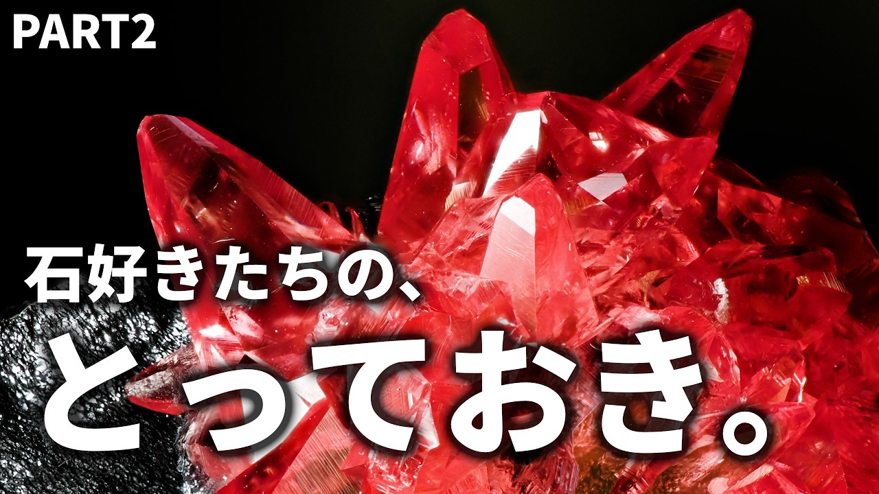 When Mineral Collectors Bring Their Favorite Stones, We End Up