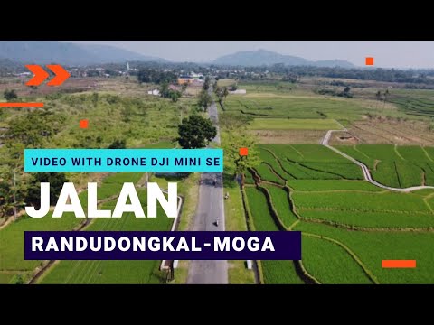 Dji mini Se jalan raya randudongkal moga kabupaten pemalang