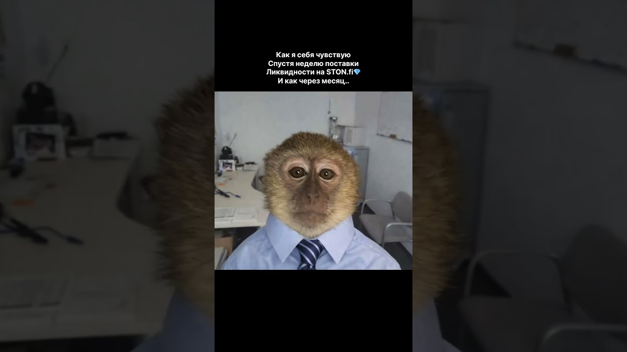 💎STON.fi — лучший DEX на блокчейне TON, созданный для тех, кто ценит доходность и безопасность.