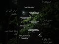  عبارات عن فن الرسم ٠ يلي من عشاق الرسم يكتبلنا ب الكومنت حبايبي لاتنسوا اعجاب ب الفيديو  