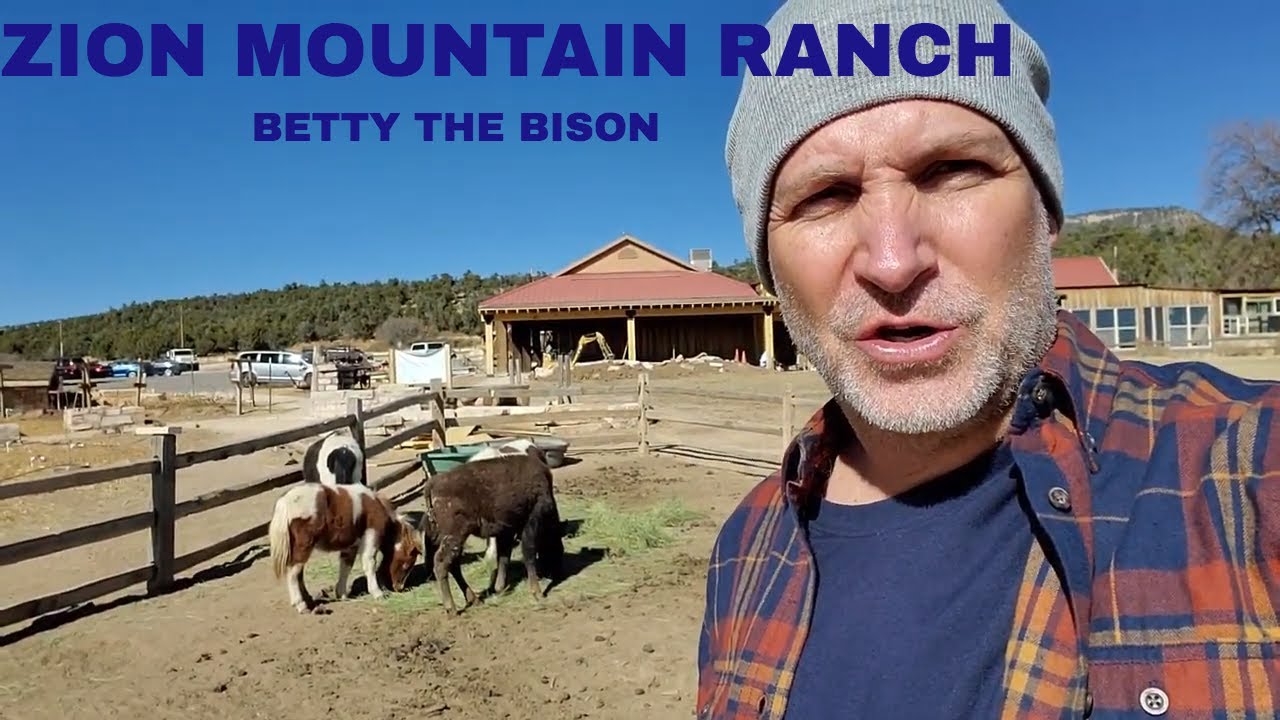 ZION MOUNTAIN RANCH 2019