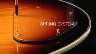 Framus "The Difference" - Electronics Compartment Cover