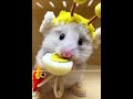 卵を食べて しゃっくり