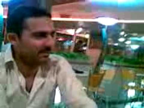 videos for cats An Evening with my Friends at Park Tower
