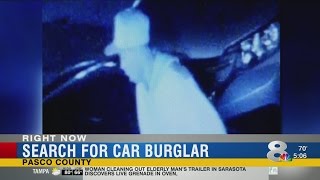 Pasco deputies on lookout for auto burglary suspect