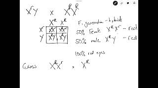 15 The Chromosomal Basis of Inheritance