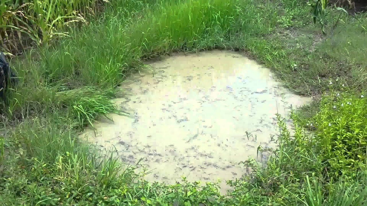 Rancher 420 Going Deep No Snorkel