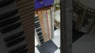 Usa Rid 3 Line 8961280407 Sur O Bani Harmonium Only One Piece Special