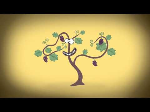 რამ შეჭამა ვენახი