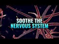 Soothe the nervous system  heal your vagus nerve nerve healing binaural beats  nerve regeneration