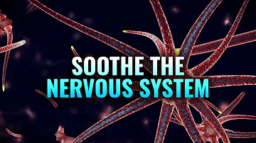 Soothe the Nervous System - Heal Your Vagus Nerve, Nerve Healing Binaural Beats - Nerve Regeneration